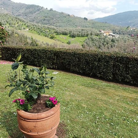 Villa Camelia Tuscany Pescia Exterior foto